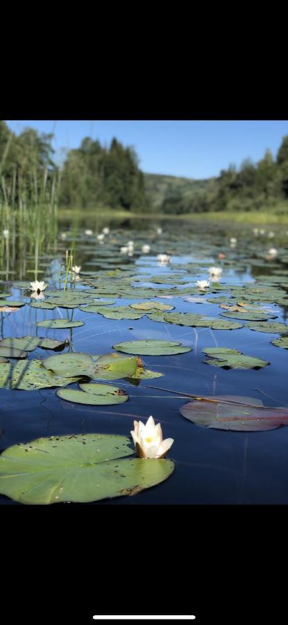 Glamping On Idyllic Lake, Paddle Boards & Rowboat Porsgrunn Luaran gambar